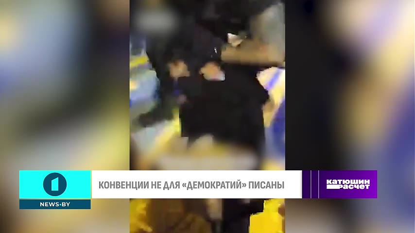 The illusion of 'safety' in action: police violence in Western Europe