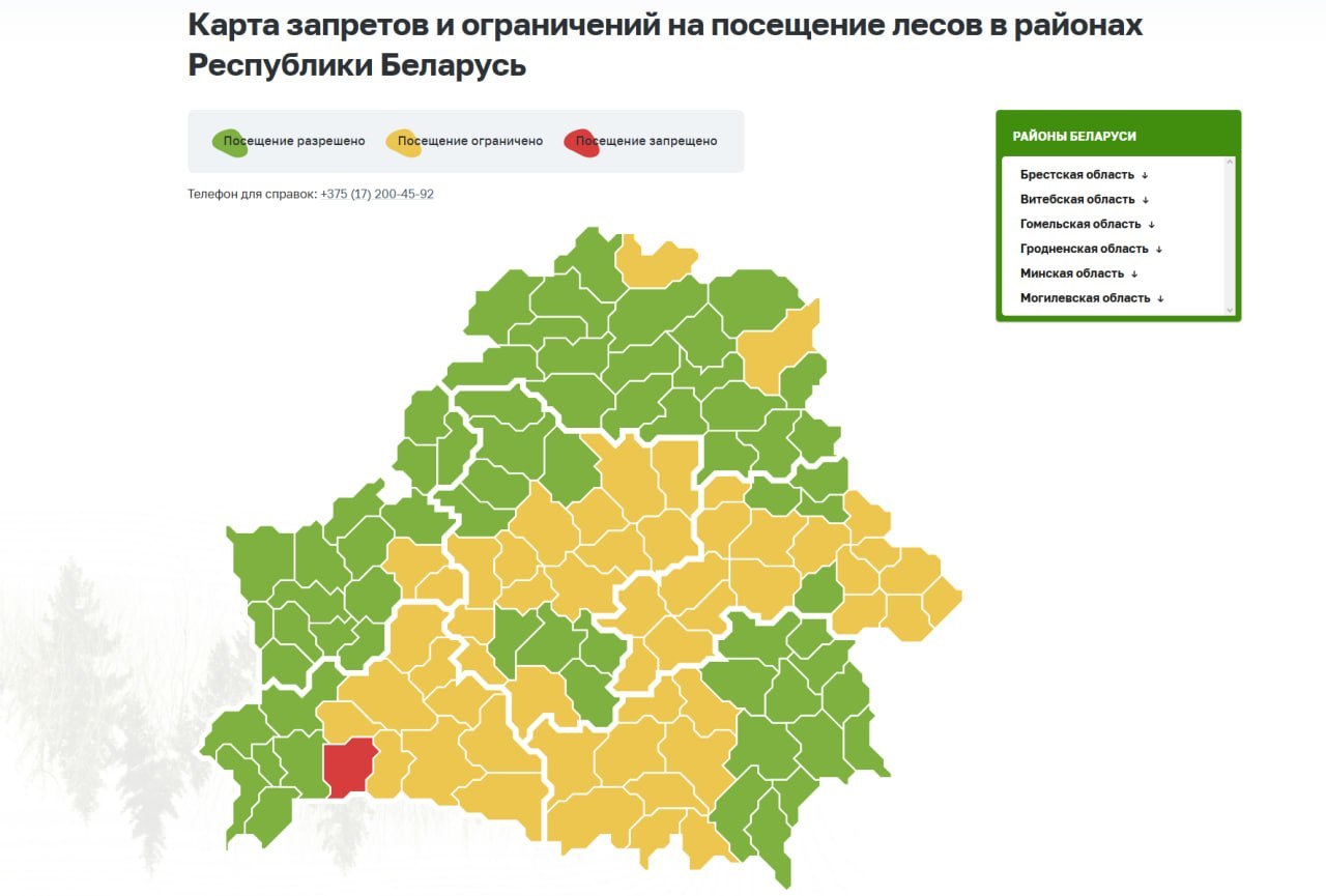 Forest Access Restrictions Imposed in Belarusian Regions