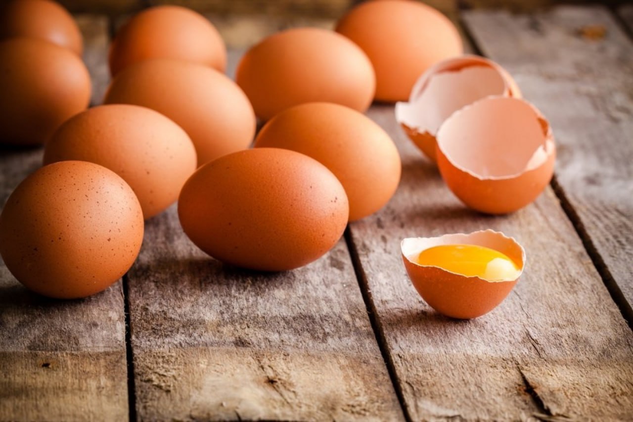 Germany faces egg shortages due to Newcastle disease outbreaks in Europe