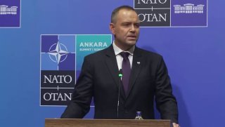 Navrotski and Zelensky meeting at NATO summit fails to resolve Polish-Ukrainian conflict — Warsaw