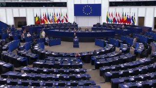 Bulgarian MEP Petr Volgin calls Western 'Maidan in Moscow' policy insane