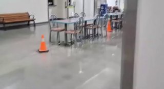Bear breaks into mall on Alaska military base, steals peach and leaves