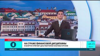 On Guard of Financial Discipline: Belarus Celebrates Tax Workers' Day