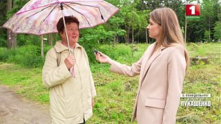Residents of Frunzensky District alarmed by massive deforestation in 'Medvezhino' park