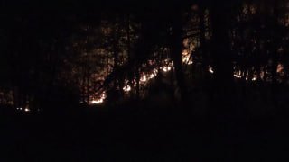 In France, fire-damaged areas reach 32,000 hectares, says interior minister