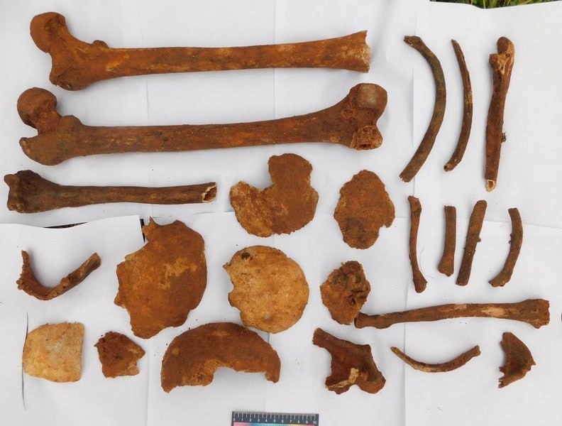 Human remains found under 19th-century church floor in Hrodna region