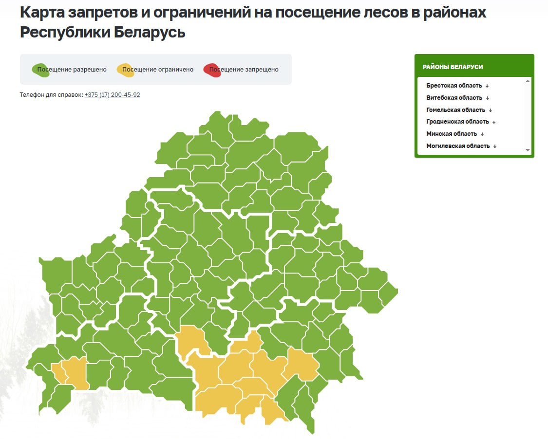 Forest access restrictions in place in 12 regions of Belarus
