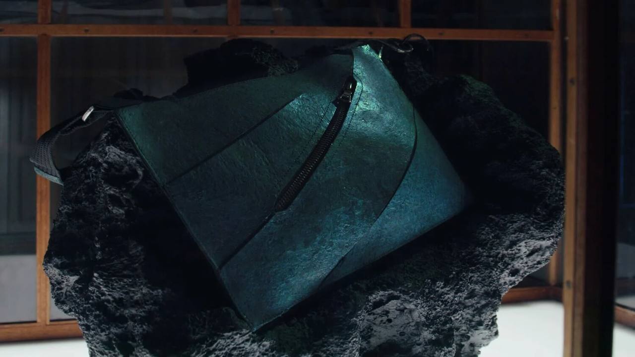 World's first handbag made of T-rex skin up for auction in Paris
