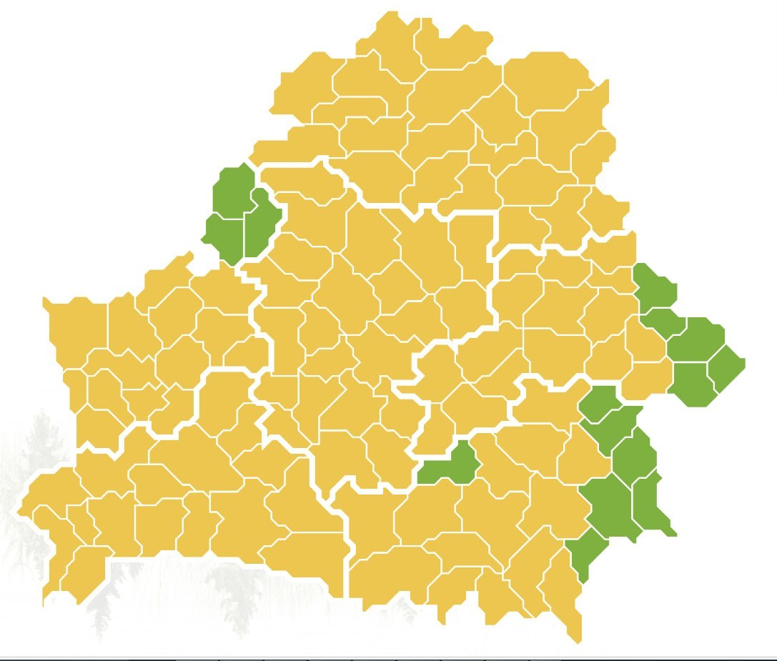 Restrictions and bans on forest visits are in effect across all regions of Belarus