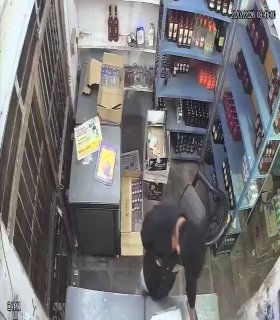 Leopard attacks three people and enters liquor store in India — NDTV