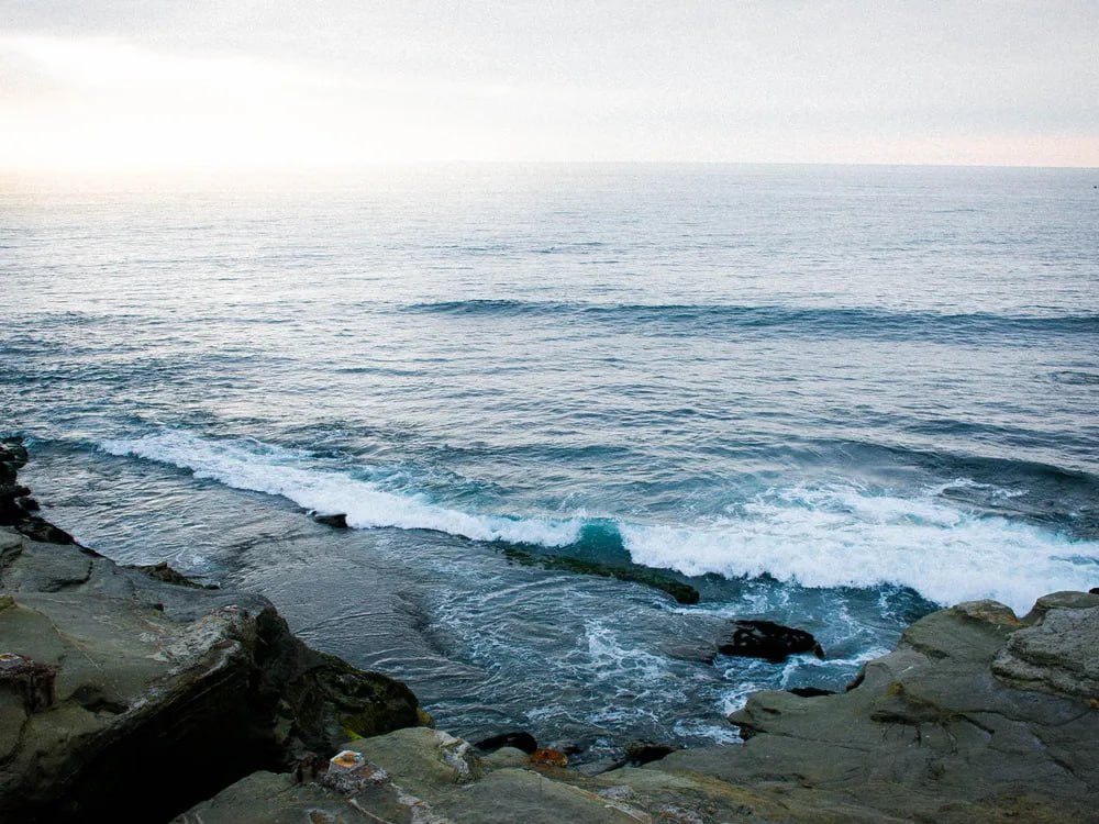 Strong El Niño officially begins in the Pacific Ocean