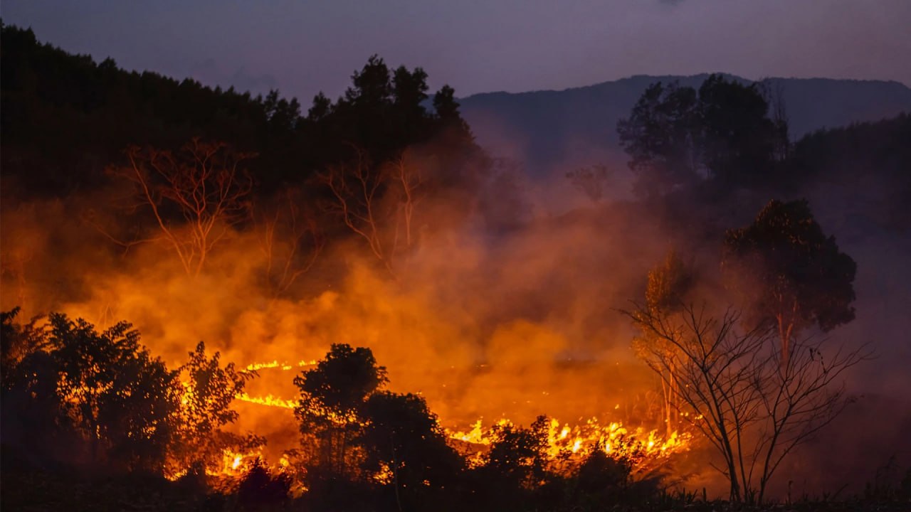 Sicily faces devastating wildfires fueled by extreme heat and strong winds