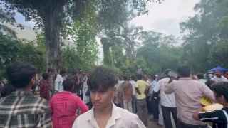 Activists bring giant gorilla puppet to New Delhi protests