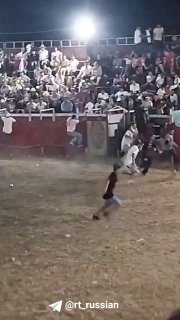 Bull jumps into crowd during traditional bullfight in Colombia