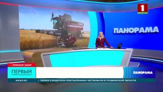From golden ears to aromatic 'Batkavaya bulka': harvest season in Grodno region