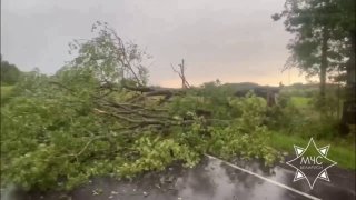 Rescuers clear up after bad weather in Gomel and Vitebsk regions