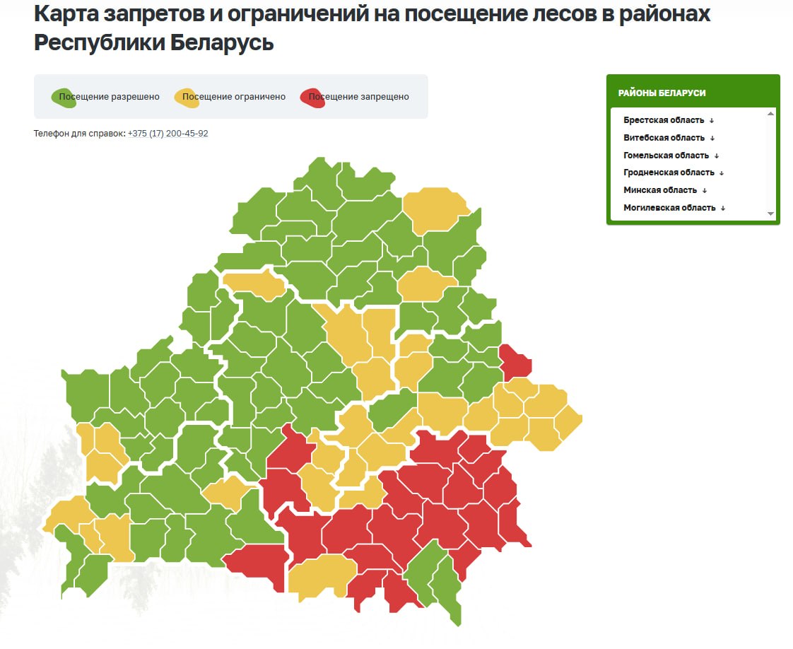 Forest visits banned in 21 districts of Belarus