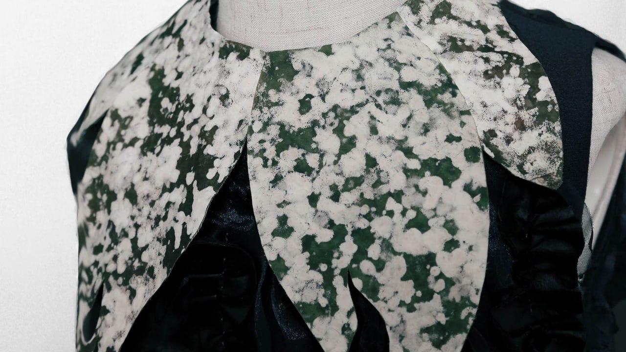 Chińscy naukowcy stworzyli regenerujący się materiał z grzybów