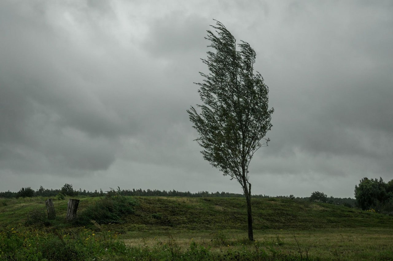 Orange danger level declared in Belarus due to strong winds on August 11