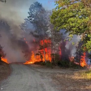 About 1,800 evacuated due to major forest fire in western Germany