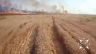 Incendios en campos apagados en el distrito de Lepel