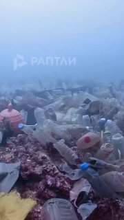 Situationa Klusā okeāna dibenā pie Taivānas