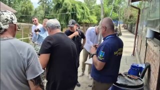 Scoperto in Romania un zoo illegale con orsi, leoni e una tigre