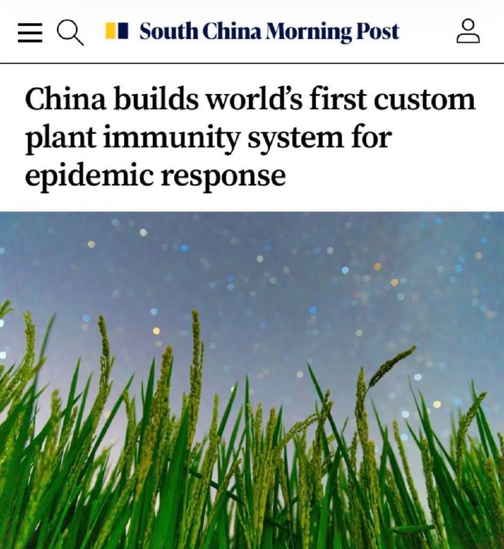 La Cina ha creato il primo sistema al mondo per proteggere le piante dalle epidemie con l'IA