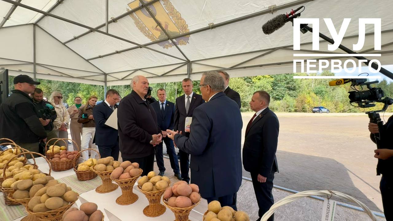 Domestic Potatoes vs Imported: Lukashenko Stresses Boosting Belarusian Potato Production
