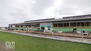 How the head of a dairy farm passed a zootechnician exam for the President?