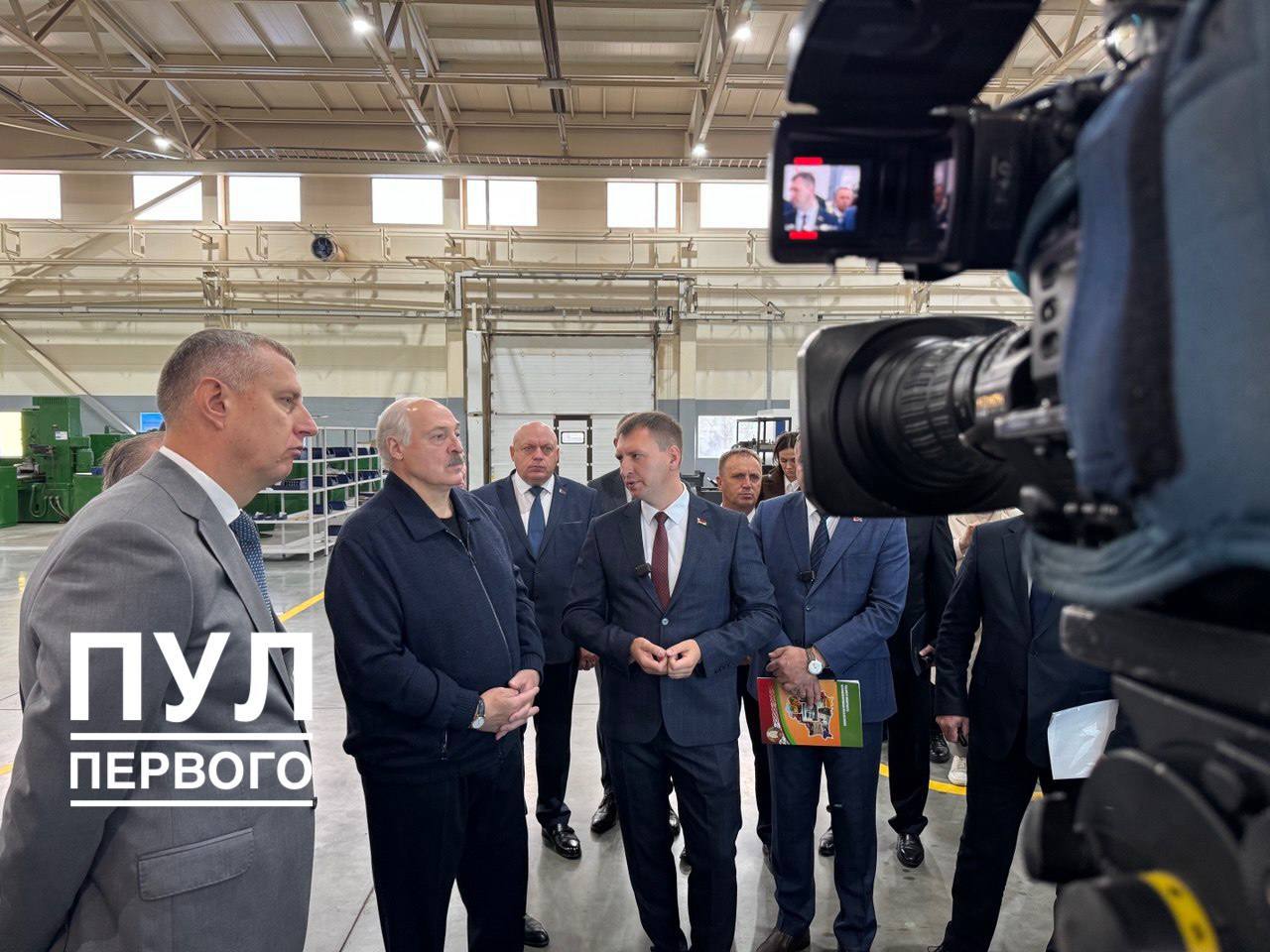 Belarus must increase timber harvesting, president orders