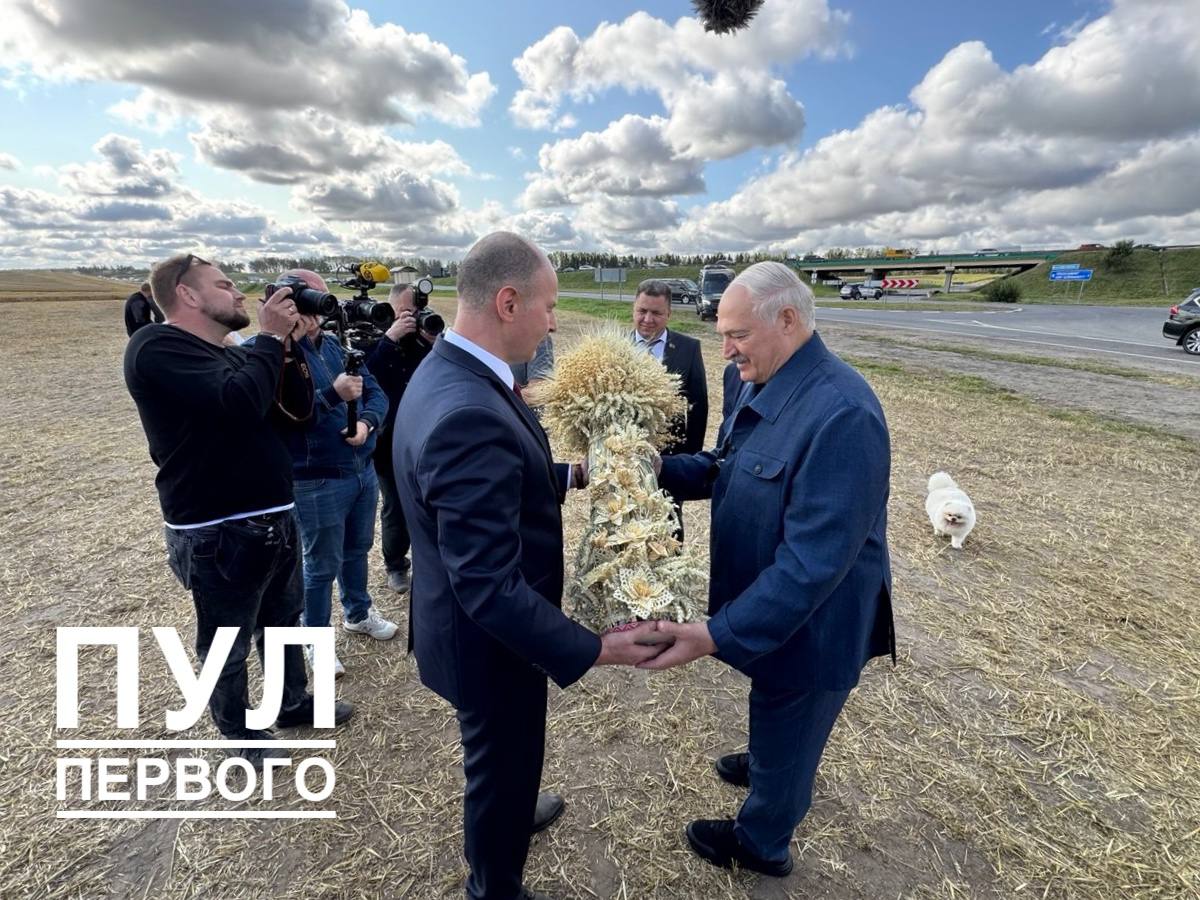 Minsk Region Harvests 2 Million Tons of Grain