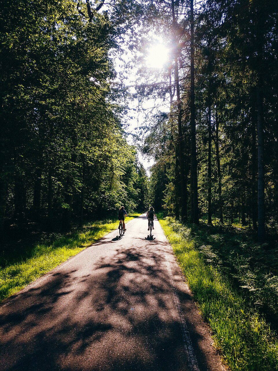 Belovezhskaya Pushcha National Park