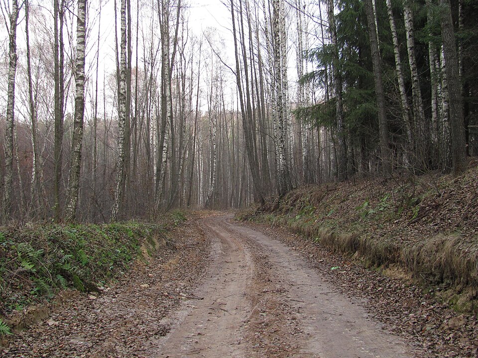 Mozyr Ravines Nature Reserve